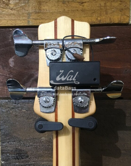 W3703.headstock-rear.jpg