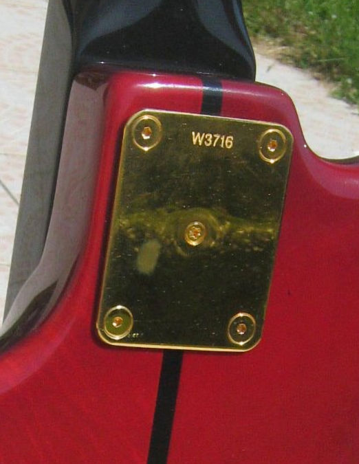 W3716.neckplate.jpg