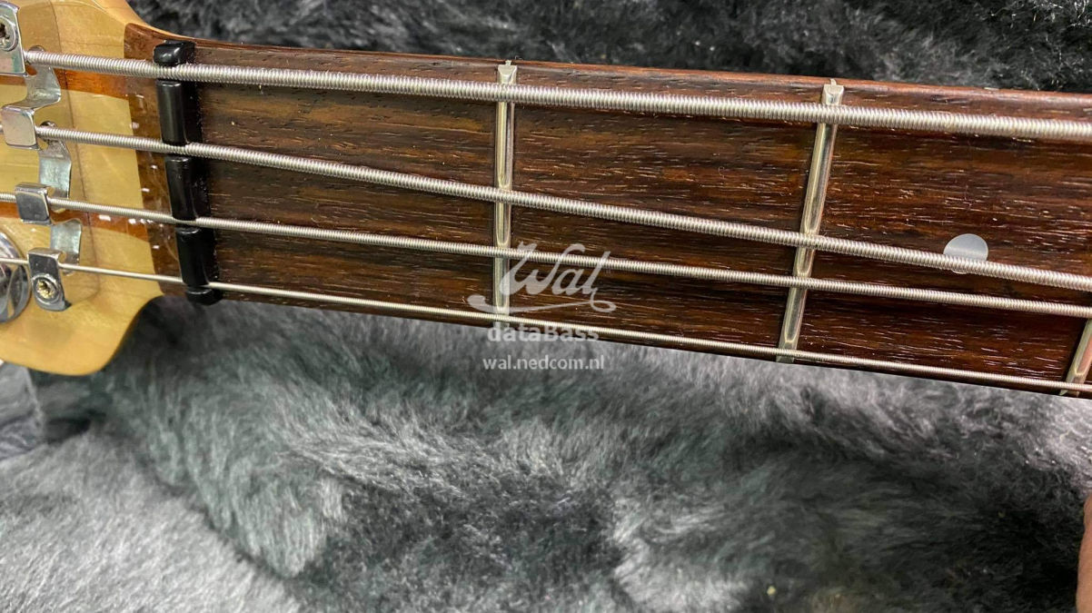 W3731.fretboard.jpg