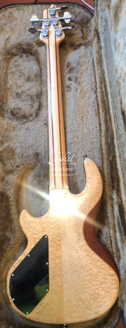 W3762.rear.jpg