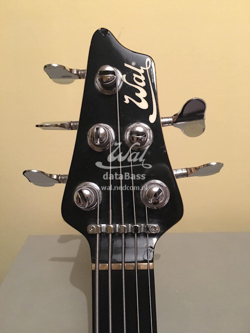 W3801.headstock-front.jpg