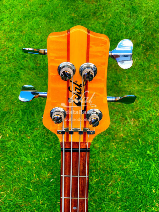 W3808.headstock-front.jpg