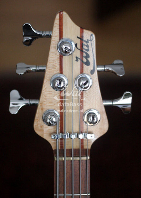 W3817.headstock-front.jpg