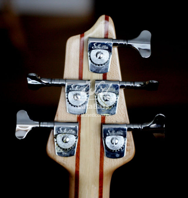 W3817.headstock-rear.jpg