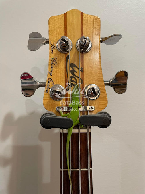 W3850.headstock-front.jpg