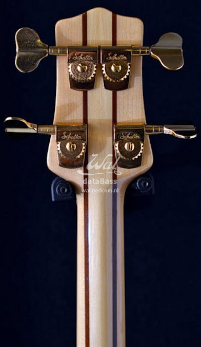 W3853.headstock-rear.jpg