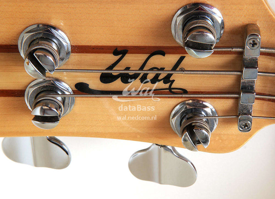 W3907.headstock-front.jpg