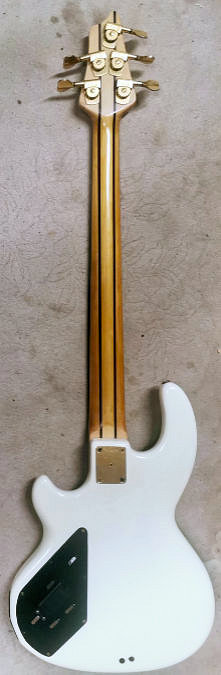W3937.rear.jpg