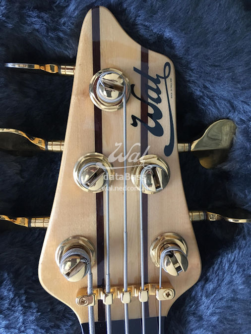 W3944.headstock-front.jpg