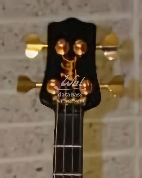 W3970.headstock-front.jpg