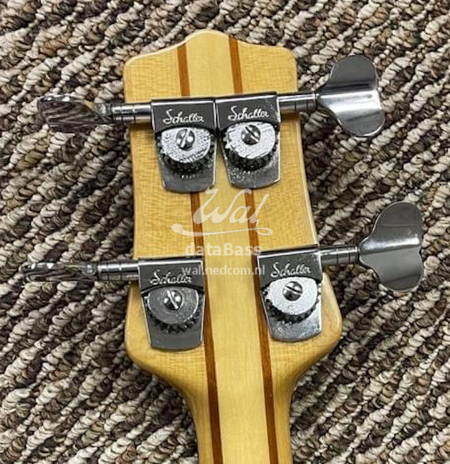 W3973.headstock-rear.jpg