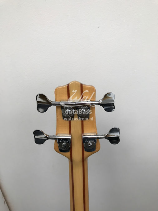 W3986.headstock-rear.jpg