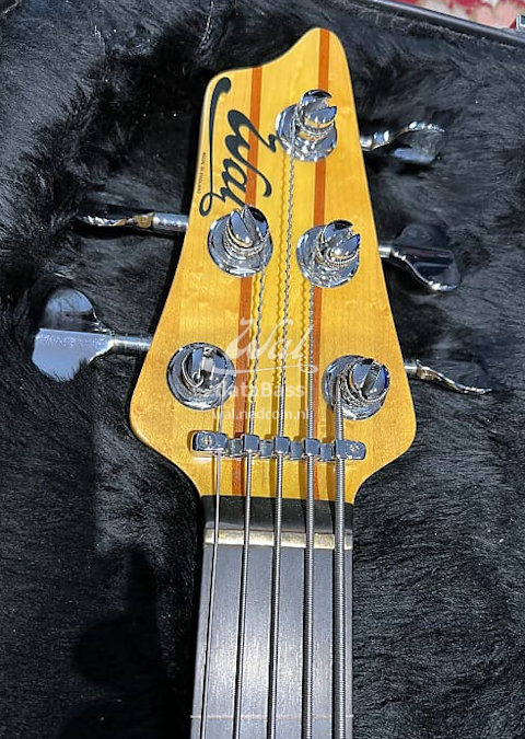 W4009.headstock-front.jpg