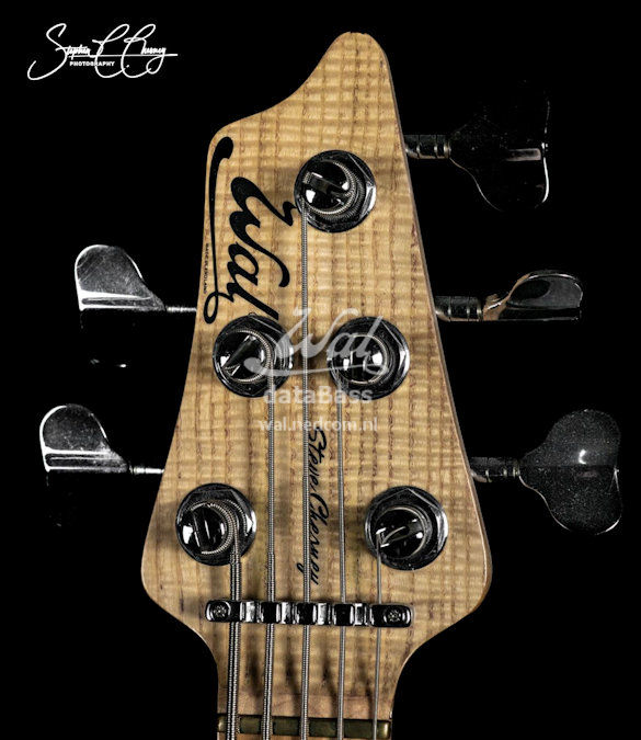 W4030.headstock-front.jpg