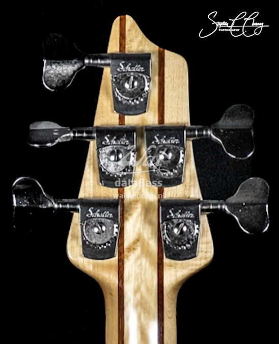 W4030.headstock-rear.jpg