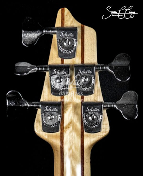 W4030.headstock-rear.jpg