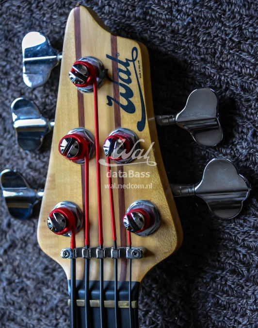 W4043.headstock.jpg