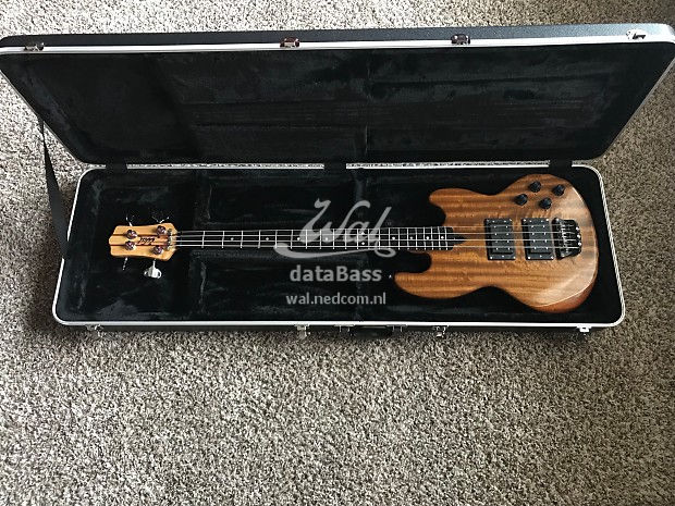 W4055.in-case.jpg