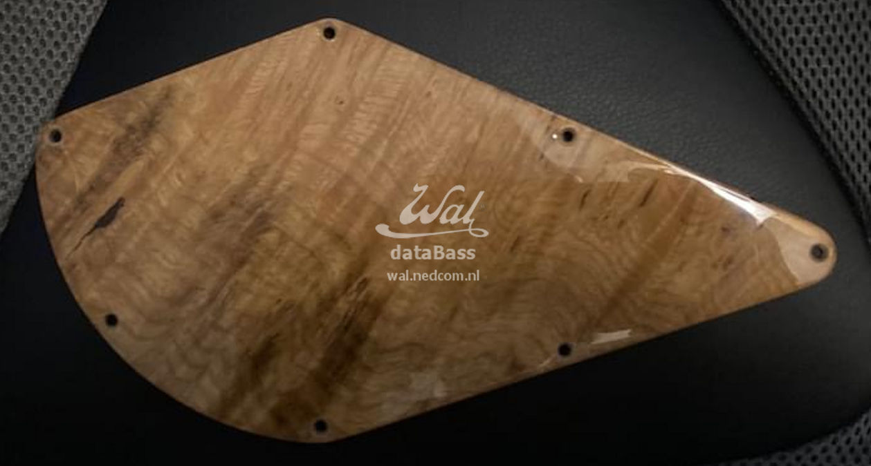 W4057.backplate.jpg