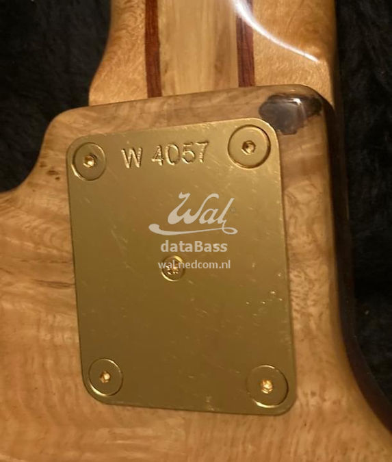 W4057.neckplate.jpg