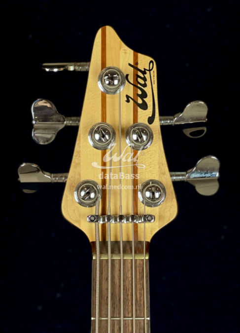 W4083.headstock-front.jpg