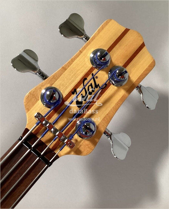 W4084.headstock-front.jpg