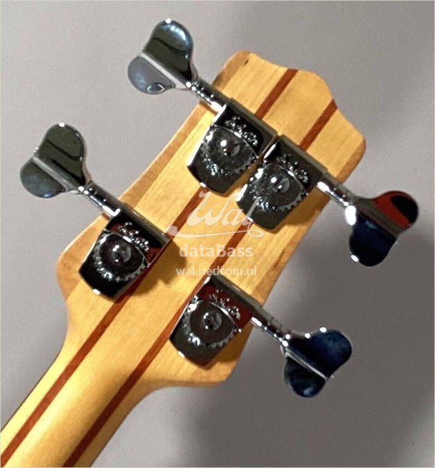 W4084.headstock-rear.jpg