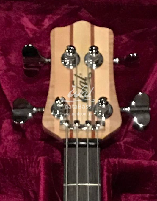 W4085.headstock-front.jpg