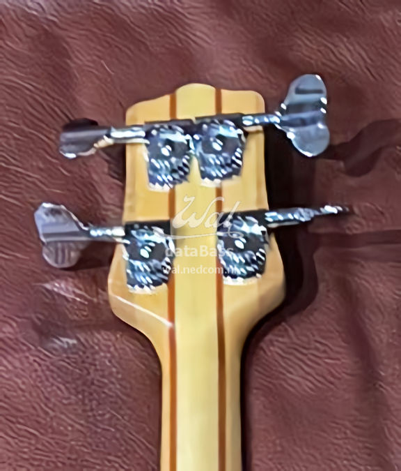 W4085.headstock-rear.jpg