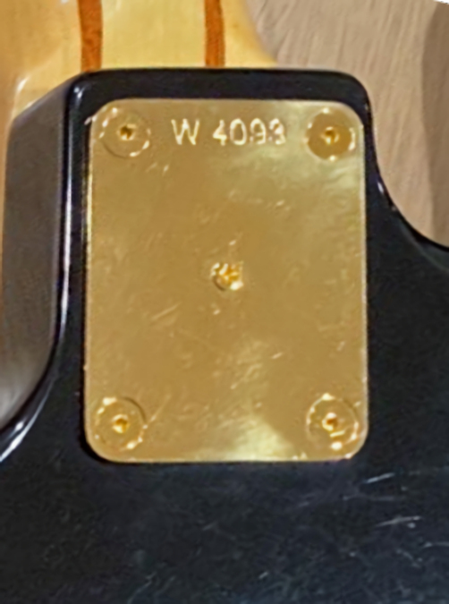W4093.neckplate.jpg