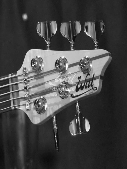 W4159.headstock.jpg