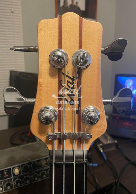 W4200.headstock-front.jpg