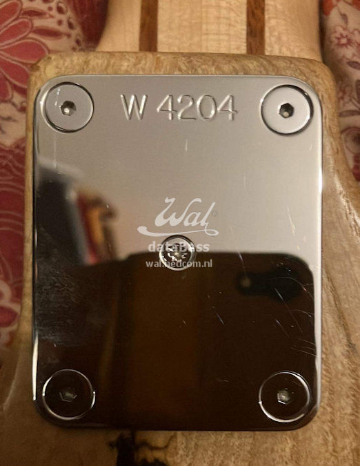 W4204.neckplate.jpg