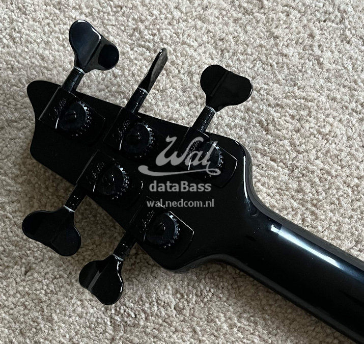 W4220.headstock-rear.jpg