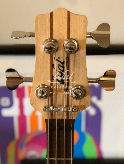 W4262.headstock-front.jpg