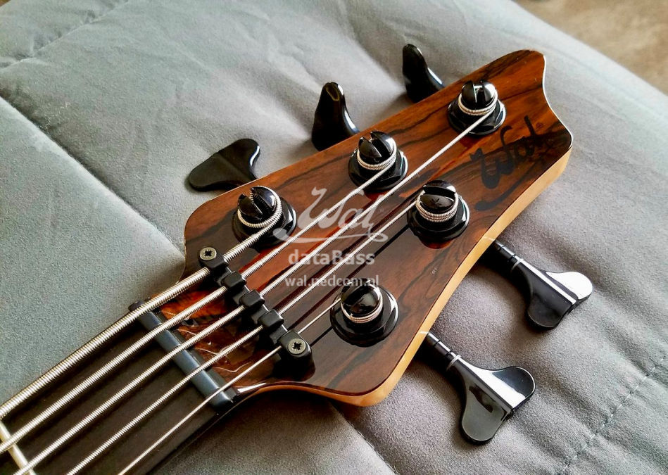 W4291.headstock.jpg