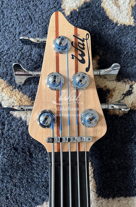 W4301.headstock-front.jpg