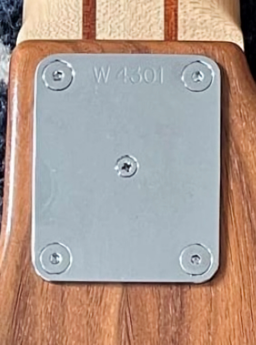 W4301.neckplate.jpg