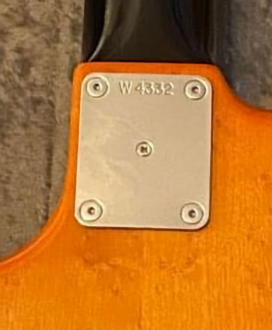 W4332.neckplate.jpg