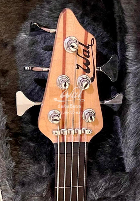 W7803.headstock-front.jpg