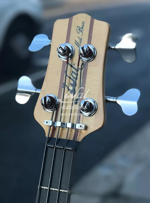 WPMidi.headstock-front.jpg