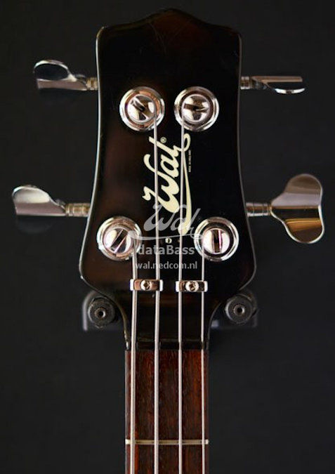 Wxx00.headstock-front.jpg