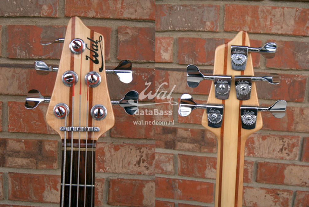 Wxxxx.headstock.jpg