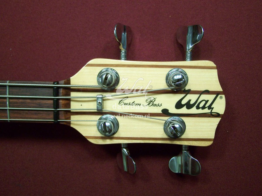 Zentner.headstock.jpg