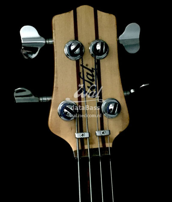 petecol.headstock-front.jpg