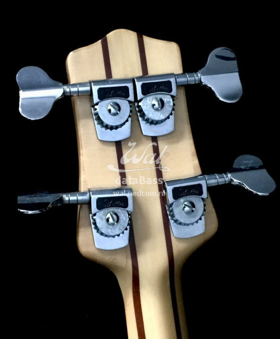 petecol.headstock-rear.jpg